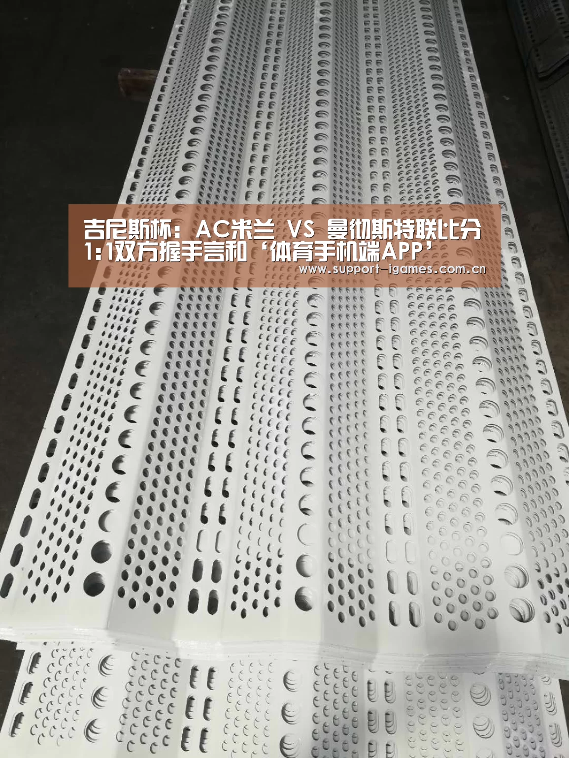 体育手机端APP