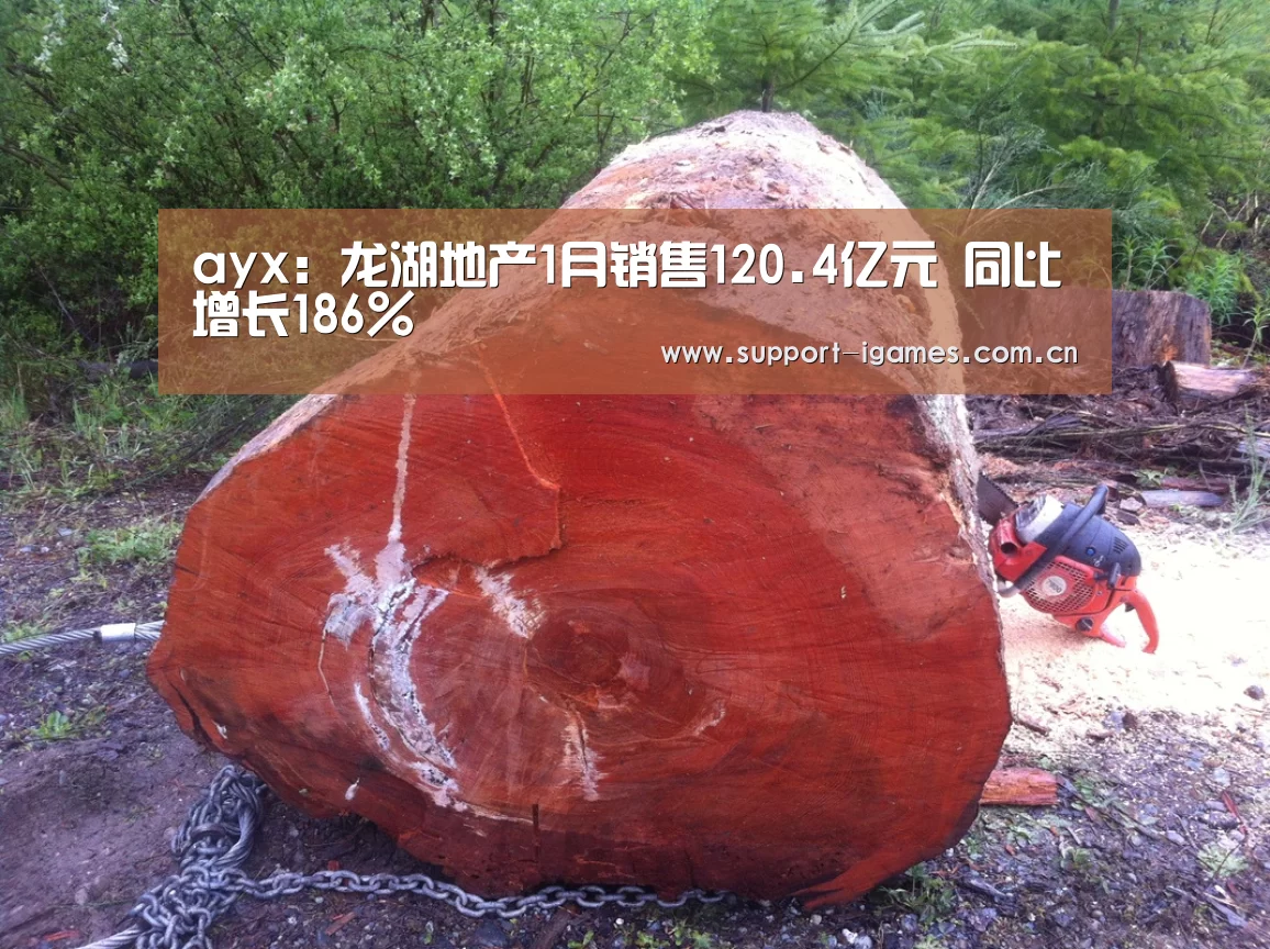 ayx:龙湖地产1月销售120.4亿元 同比增长186%(图1) 爱游戏体育直播