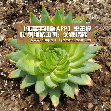 【体育手机端APP】半年报快读|绿城中国:关键指标集体下滑 偷玩数字游戏充增幅(图3) 爱游戏体育直播