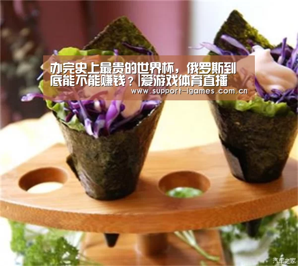 办完史上最贵的世界杯,俄罗斯到底能不能赚钱?|爱游戏体育直播(图3) 体育手机端APP