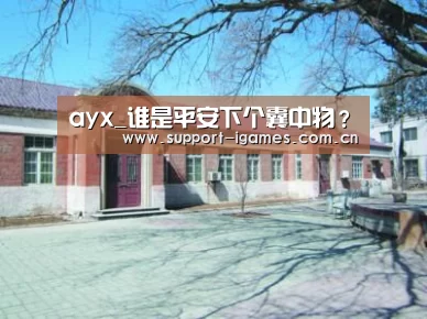 ayx_谁是平安下个囊中物?(图2) 体育手机端APP
