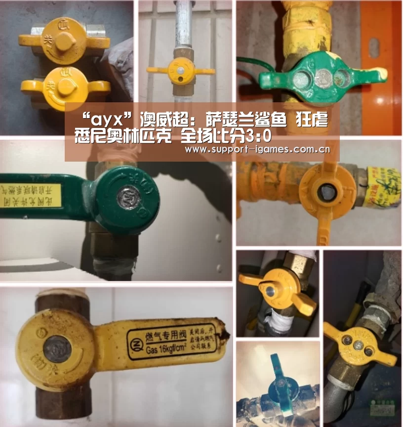 “ayx”澳威超: 萨瑟兰鲨鱼 狂虐悉尼奥林匹克 全场比分3:0(图1) “ayx”澳威超: 萨瑟兰鲨鱼 狂虐悉尼奥林匹克 全场比分3:0(图1)