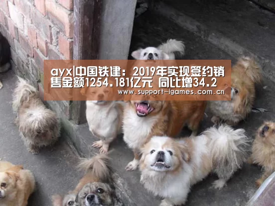 ayx|中国铁建:2019年实现签约销售金额1254.181亿元 同比增34.2%(图2) ayx|中国铁建:2019年实现签约销售金额1254.181亿元 同比增34.2%(图2)