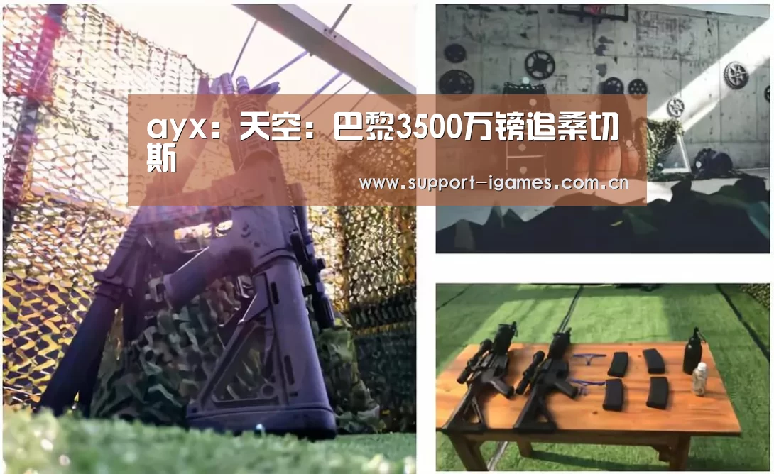 ayx:天空:巴黎3500万镑追桑切斯(图3) 体育手机端APP