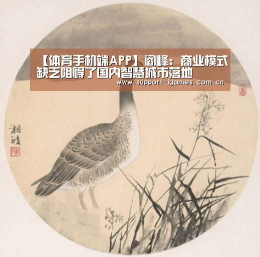 【体育手机端APP】阎峰:商业模式缺乏阻碍了国内智慧城市落地(图1) 爱游戏娱乐