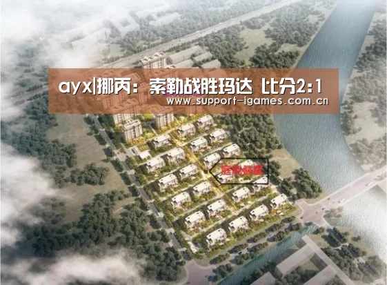 ayx|挪丙: 索勒战胜玛达 比分2:1(图1) 体育手机端APP
